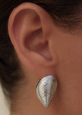 SHELL EARRINGS